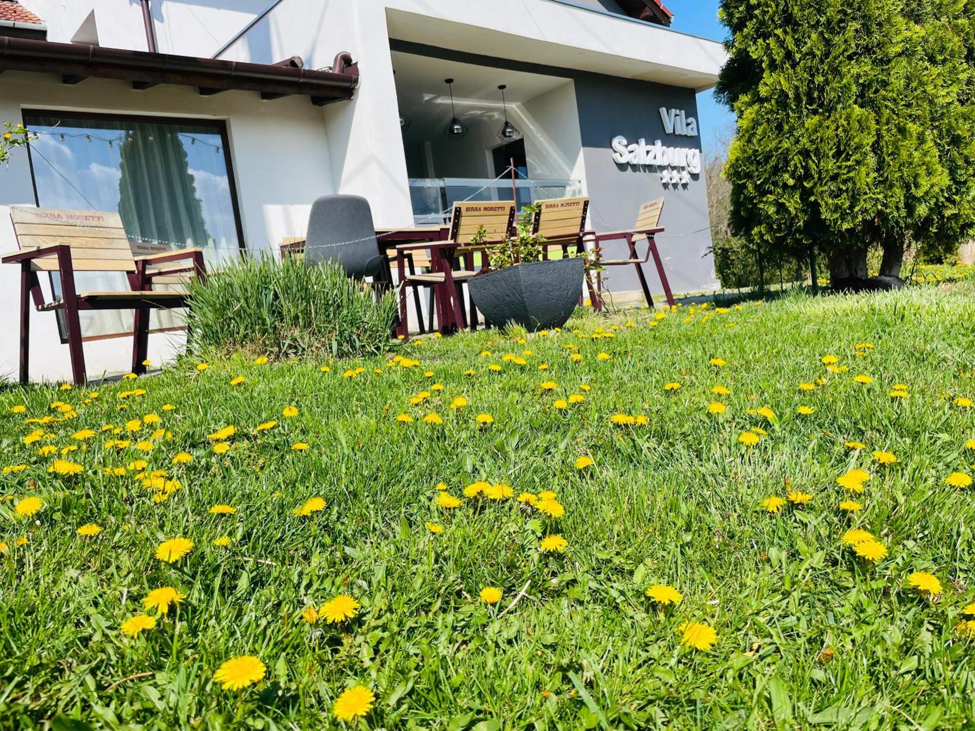 Отель Vila Salzburg Окна-Сибьюлуй Экстерьер фото
