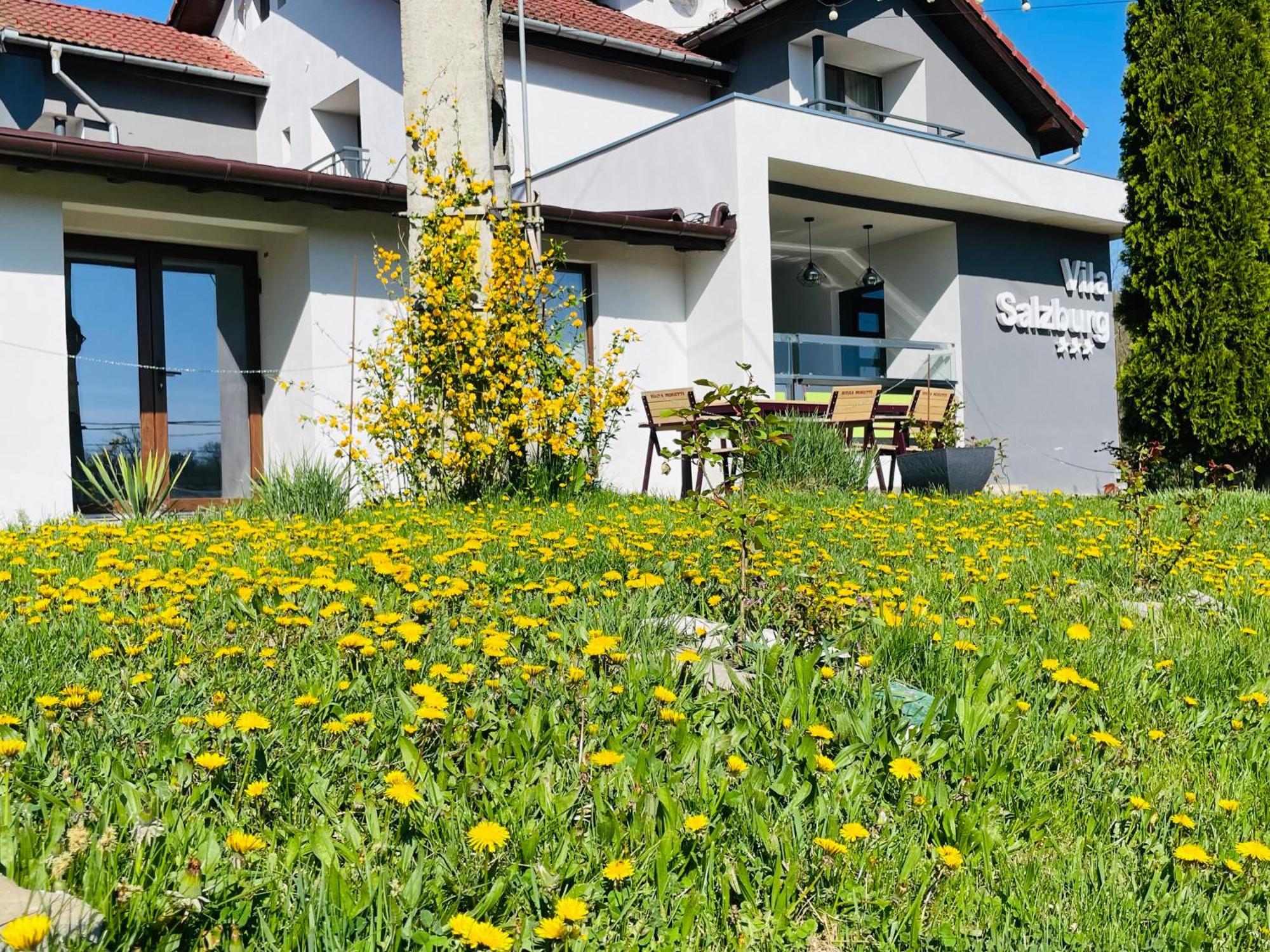 Отель Vila Salzburg Окна-Сибьюлуй Экстерьер фото
